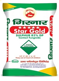 Girnar Star Gold (logo) Device mark 5328910 Trademark