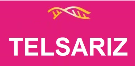 Telsariz Device mark 5331089 Trademark