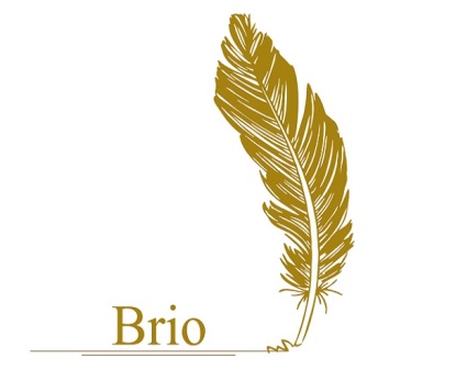 Brio Device mark 5336545 Trademark