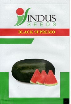 Indus Seeds Black Supremo With Device Device mark 5342599 Trademark