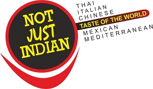 Not Just Indian Device mark 5344185 Trademark
