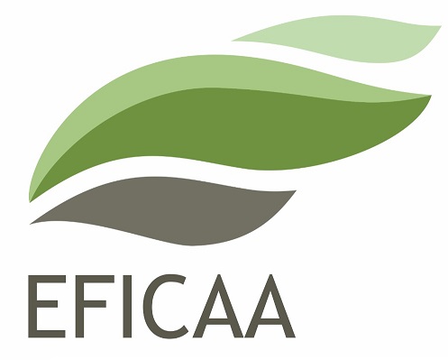 Eficaa Device mark 5346802 Trademark