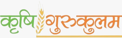 Krishi Gurukulam With Wheat Bali Device mark 5348661 Trademark