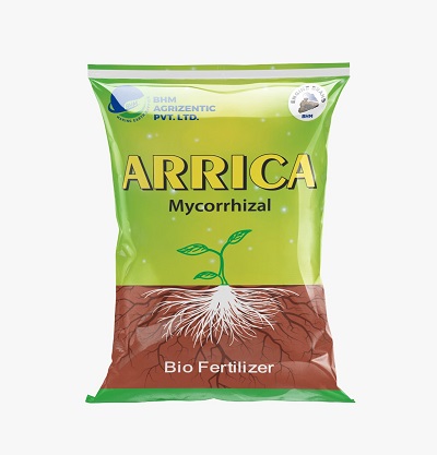 Arrica Device mark 5347947 Trademark