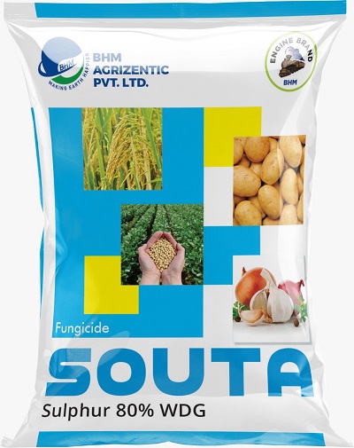 Souta Device mark 5350801 Trademark