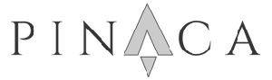 Pinaca (with Device) Device mark 5371241 Trademark