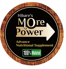 Hibare's More Power Device mark 5374540 Trademark