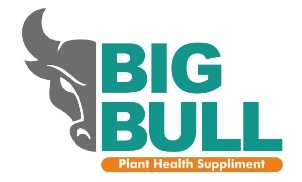 Big Bull Device mark 5374873 Trademark