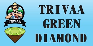 Trivaa Green Diamond Device mark 5377083 Trademark