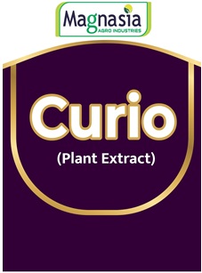 Curio Device mark 5378627 Trademark