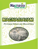 Magnasiavam Device mark 5378636 Trademark