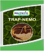Trap- Nemo Device mark 5378647 Trademark