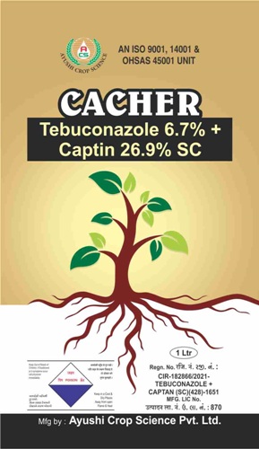 Cacher Device mark 5381930 Trademark