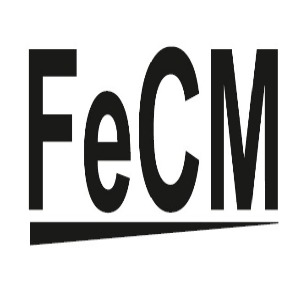 Fecm Device mark 5383073 Trademark