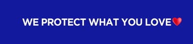 We Protect What You Love Device mark 5403699 Trademark