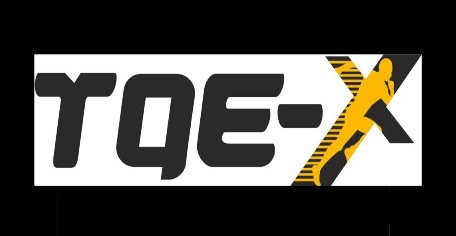 Tae-x Device mark 5438048 Trademark