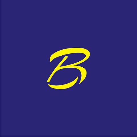 B Device mark 5449989 Trademark
