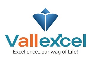 Vallexcel Device mark 5455699 Trademark