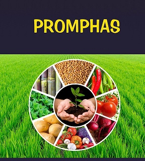 Promphas Device mark 5458803 Trademark
