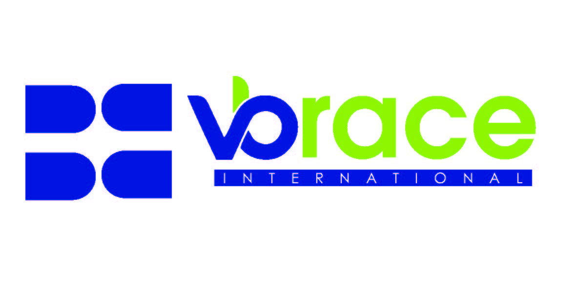 Vbrace International Device mark 5461399 Trademark