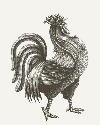 Logo Of Cock Device mark 5461110 Trademark