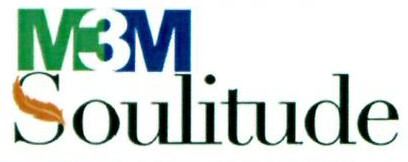 M3m Soulitude Device mark 5469457 Trademark