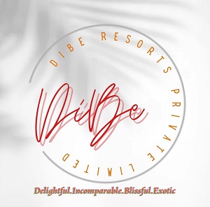 Dibe Device mark 5480633 Trademark