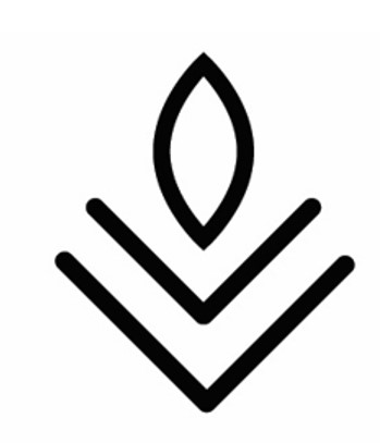 Device Device mark 5490655 Trademark