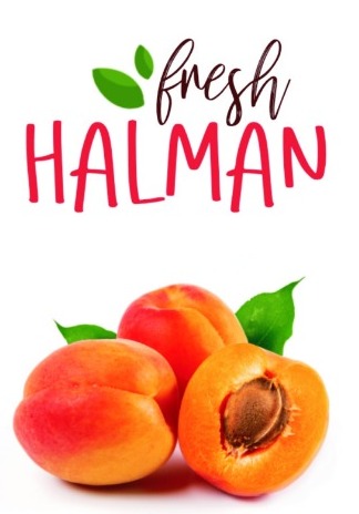 Fresh Halman Device mark 5502294 Trademark