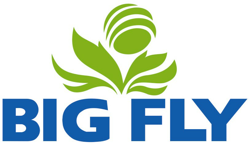 Big Fly Device mark 2386511 Trademark