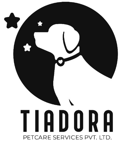 Tiadora Device mark 5503605 Trademark