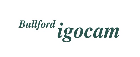 Bullford Igocam Device mark 5503976 Trademark