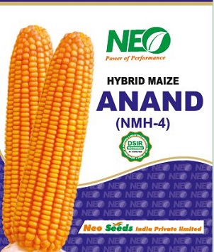 Neo Anand Nmh-4 Device mark 5505124 Trademark