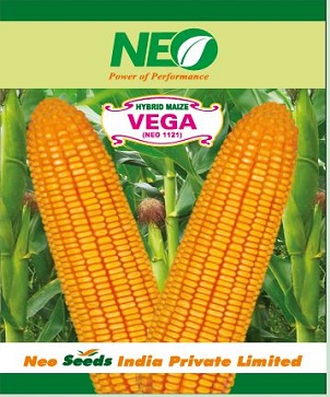 Neo Vega 1121 Device mark 5505129 Trademark