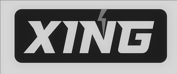 Xing Device mark 5505833 Trademark