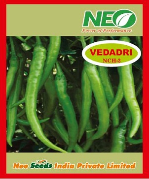 Neo Vedadri Nch-2 Device mark 5514837 Trademark