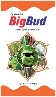 Aegis Bigbud Device mark 5518715 Trademark