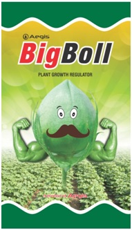 Aegis Bigboll Device mark 5518716 Trademark