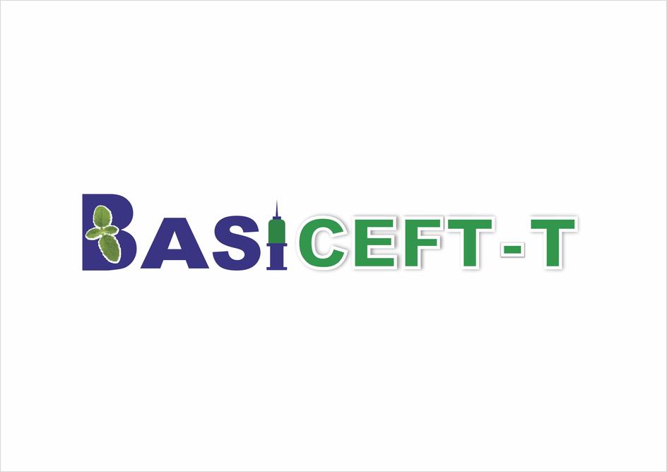 Basiceft-t Device mark 5519227 Trademark