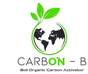 Carbon - B Device mark 5520315 Trademark