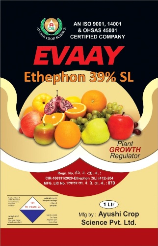 Evaay Device mark 5533673 Trademark