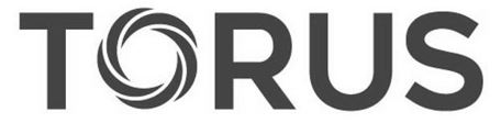 Torus Device mark 5537740 Trademark