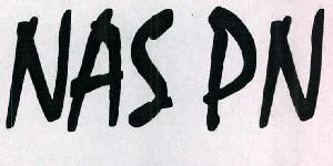 Nas Pn Device mark 2378337 Trademark