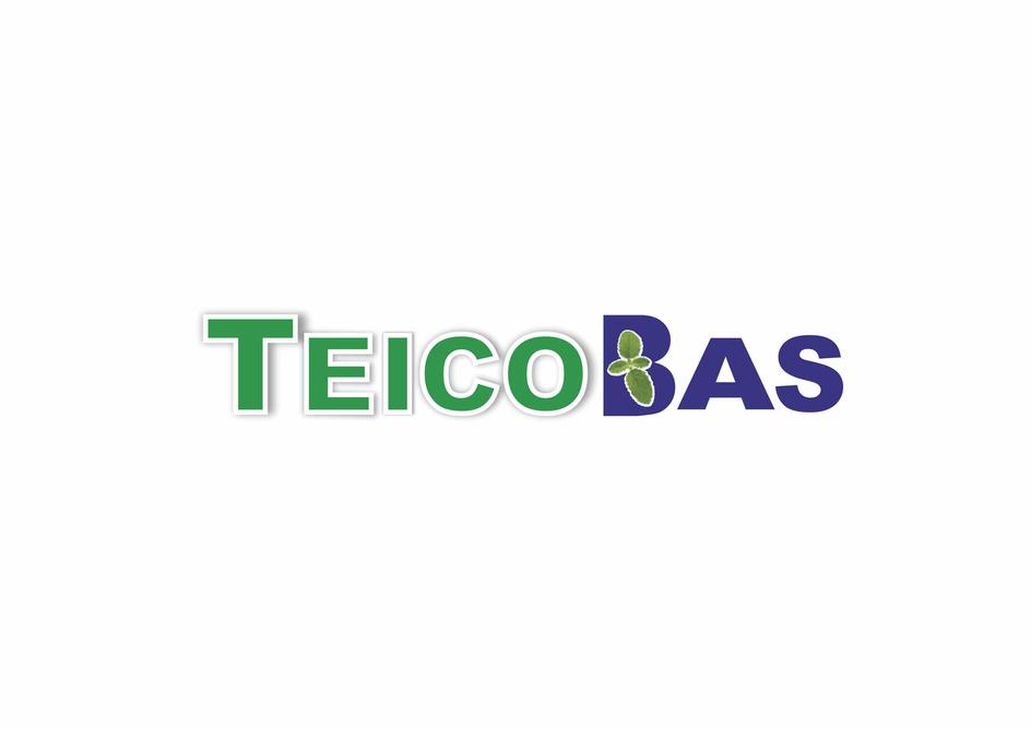 Teico Bas Device mark 5547259 Trademark