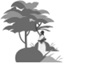 Image Of Tree Device mark 5554978 Trademark