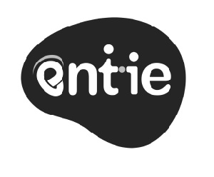Entie (with Device) Device mark 5554648 Trademark