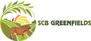 Scb Greenfields Device mark 5561731 Trademark