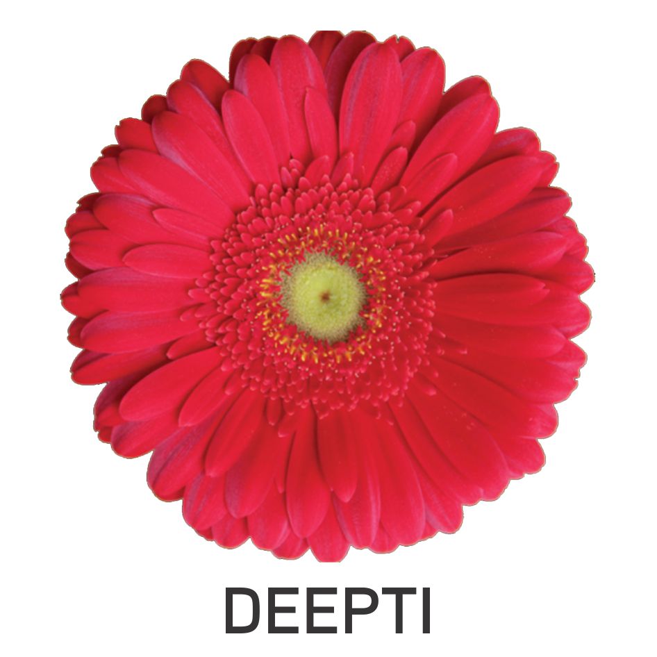 Deepti Device mark 5567418 Trademark