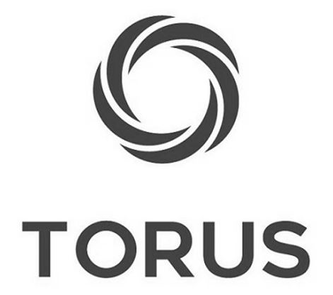 Torus Device mark 5572257 Trademark