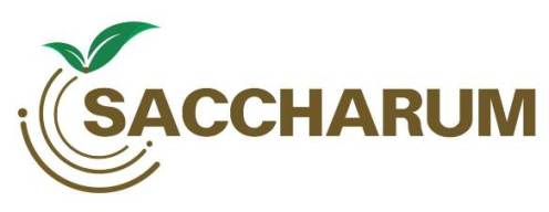 Saccharum Device mark 5013790 Trademark